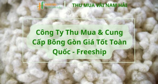 Thu Mua Bông Gòn Giá Cao Toàn Quốc – Mua Bán Bông Gòn Tận Nơi