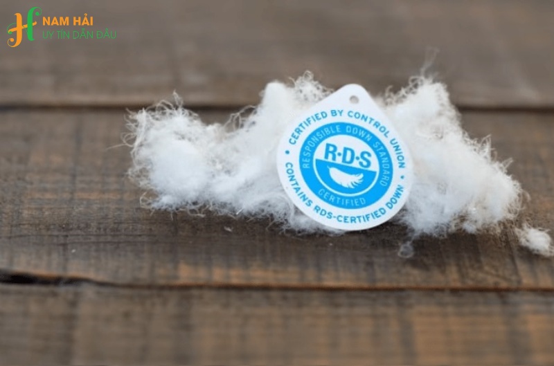 bí quyết nhận diện các loại lông vũ