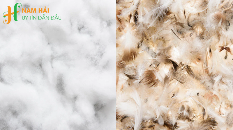 bông gòn lông vũ