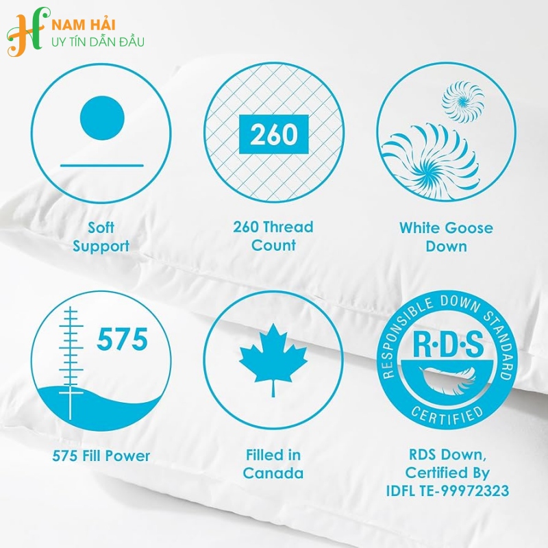 bông gòn lông vũ