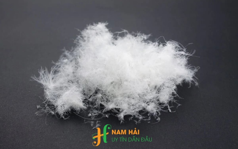 Lông Vũ Nhân Tạo