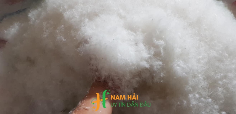 Lông Vũ Nhân Tạo