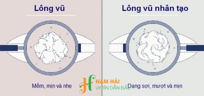 Lông Vũ Nhân Tạo